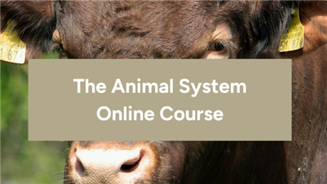 Group Banner Picture